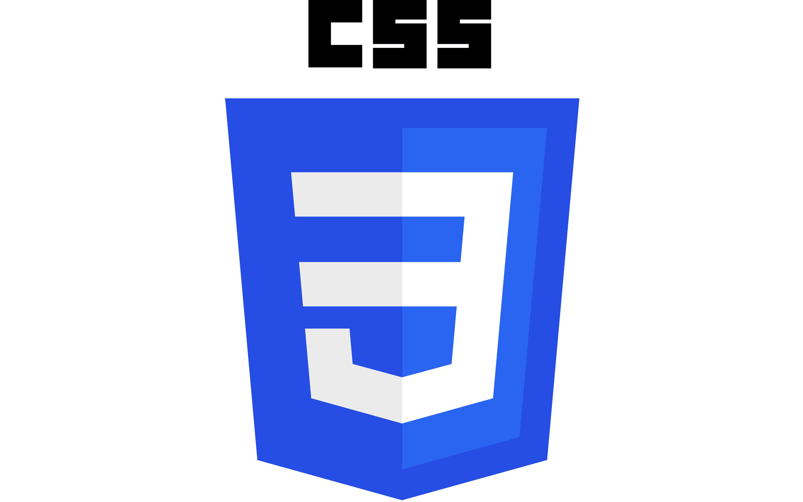 CSS logo